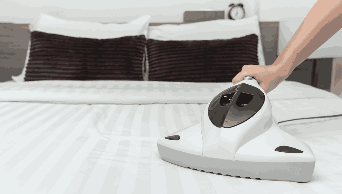 Professional Mattress Cleaning Mount Pleasant